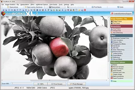 Simple Photo Editing Software