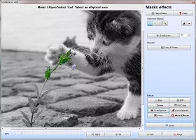 Photo Editing Software