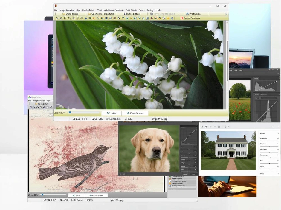 Blurred Picture Editor